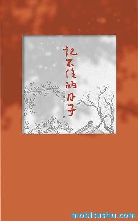 记不住的日子.mobi 肖复兴 散文集