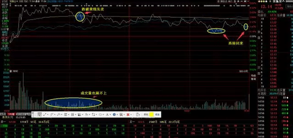 什么叫股票 什么叫股票做T