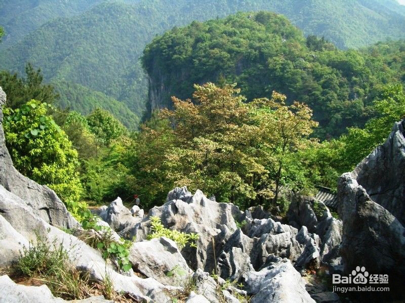 千岛湖自由行攻略(千岛湖自由行攻略一日游)