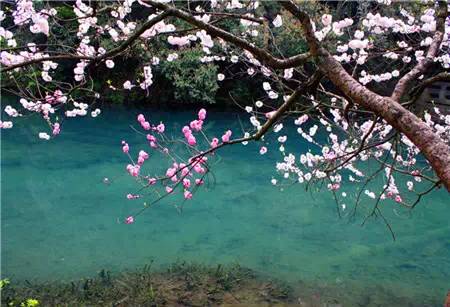 清明节旅游攻略