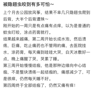 爱是有毒的 爱是有毒的全文阅读
