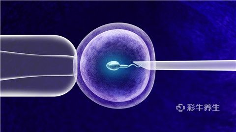 如何界定精子a级b级的简单介绍
