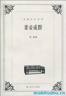 妻妾成群 作者：苏童.epub