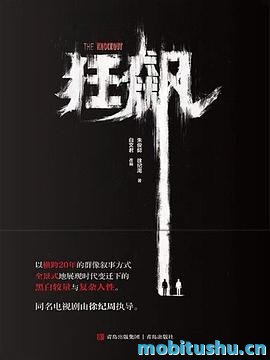 【狂飙电视剧原著】狂飙_朱俊懿_徐纪周.epub